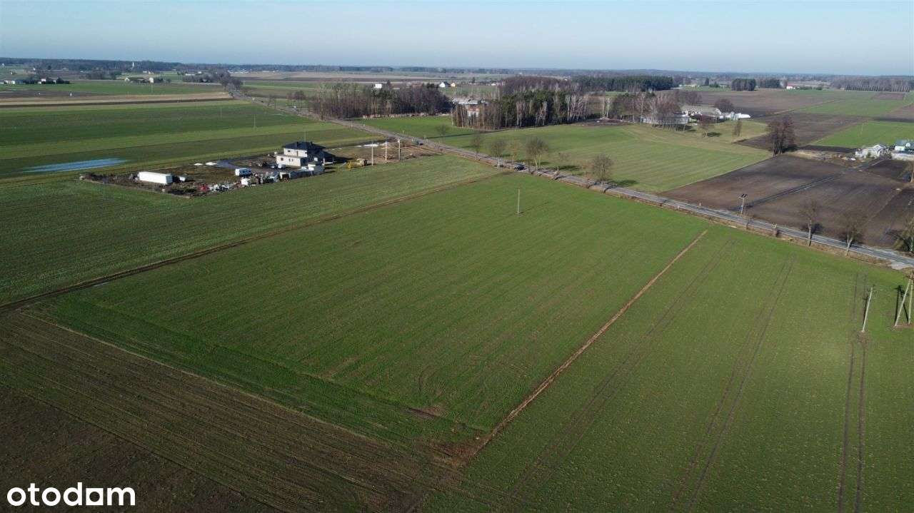 Działka Popowo Borowe koło Serocka - Pełny obrazek: 5/9