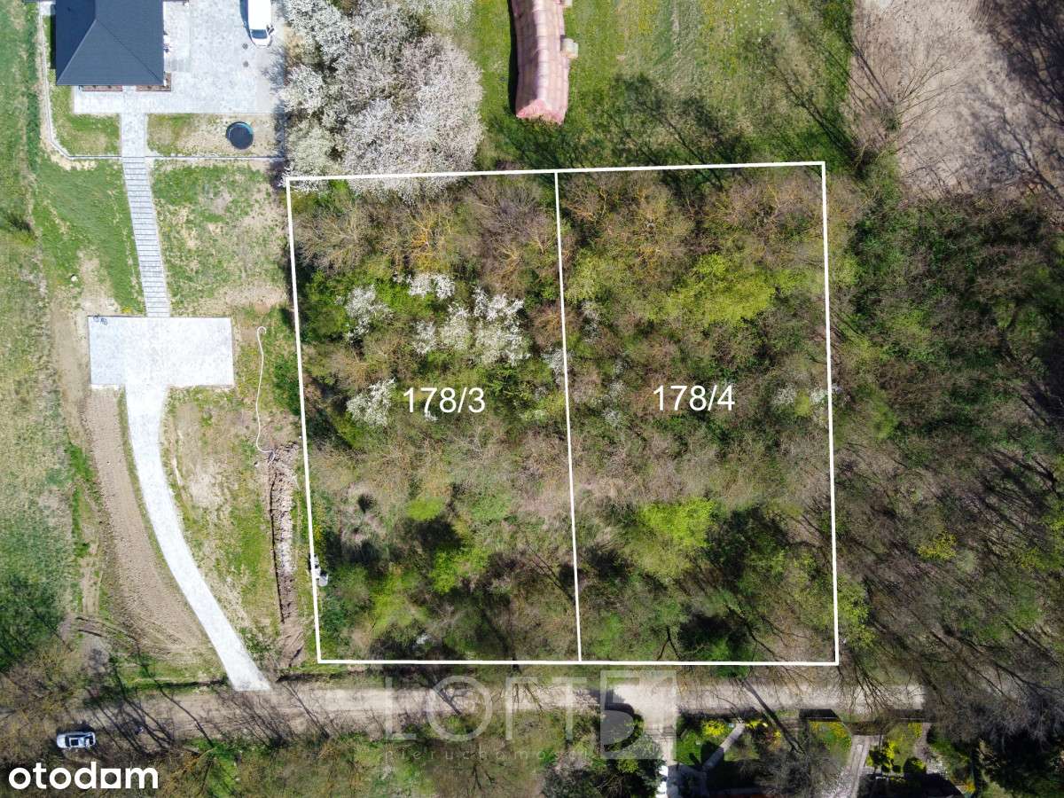 Duża działka nad Pilicą - Pełny obrazek: 5/9