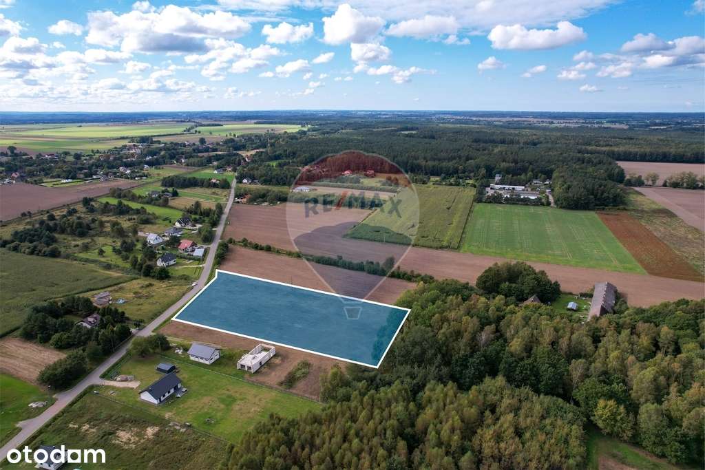 Działka siedliskowa przy lesie 1,1 ha – Wrześnica-8