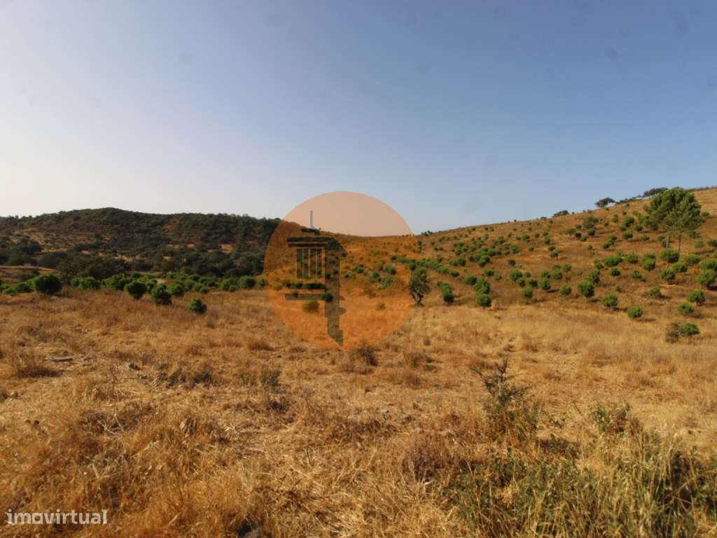 Terreno Misto - Grande imagem: 5/18