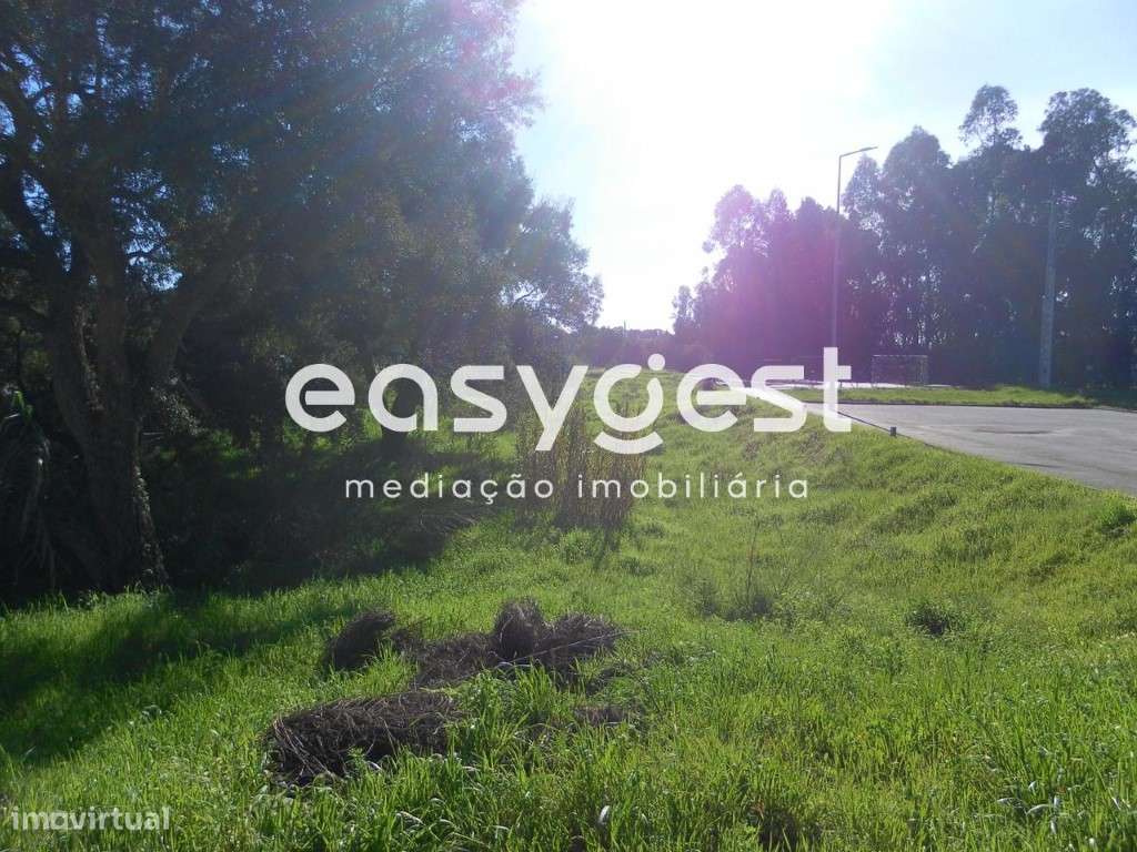 Lote de terreno urbano com 253m2 para moradia - Entroncamento - Grande imagem: 2/8