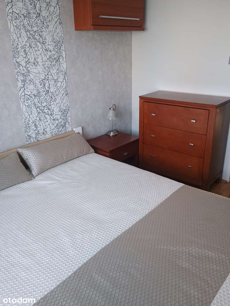 Do wynajęcia mieszkanie dwupokojowe ul. Żwirki i Wigury - Pełny obrazek: 1/11