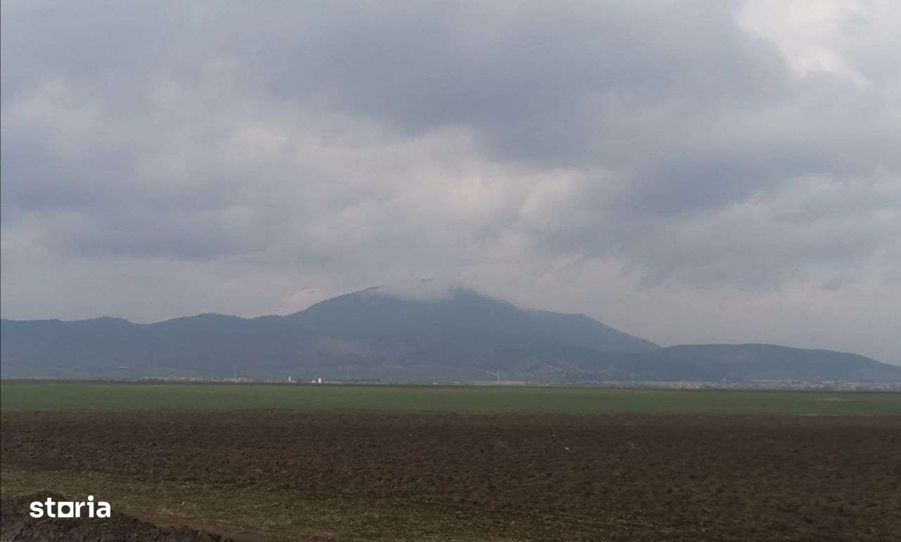 Ghimbav, teren intravilan pentru complex rezidential. - Imagine principală: 2/8