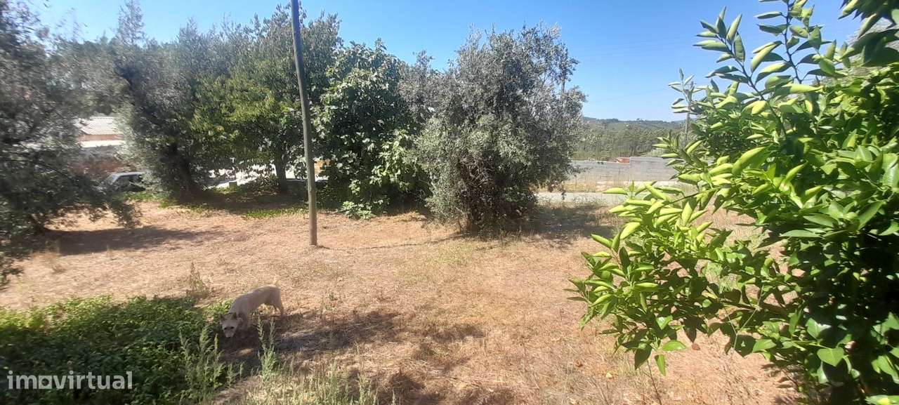 Casa geminada e ruína para restaurar, com terreno perto de Cardigos - Grande imagem: 5/26