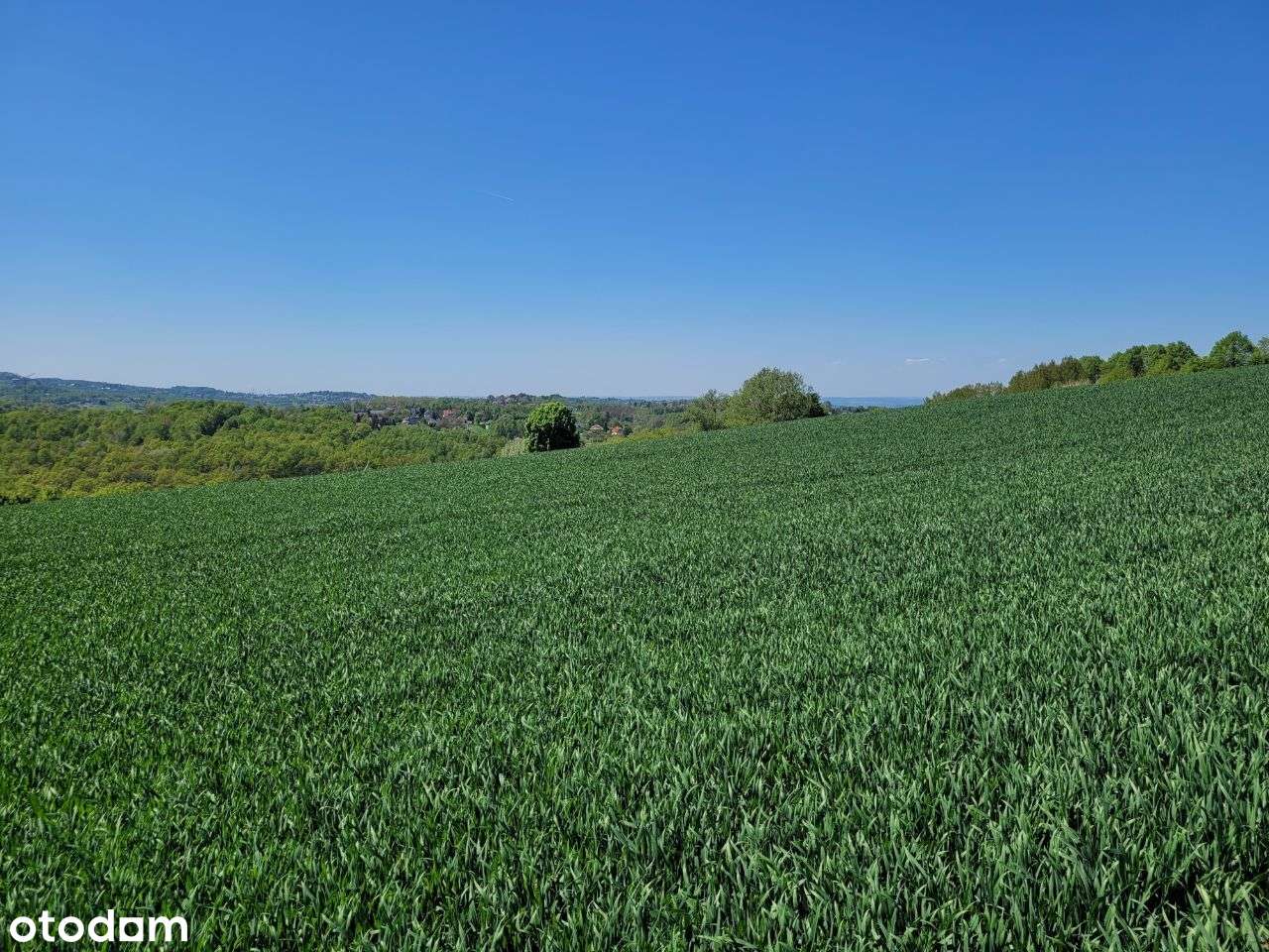 działka 12 arów | widokowa | MPZP - Pełny obrazek: 5/8