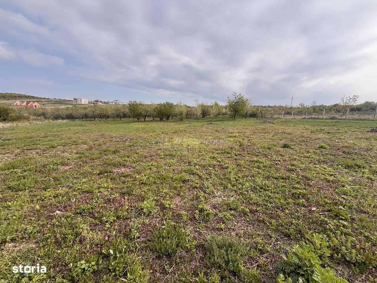 Teren pe colt in Paleu – 800 mp ideali pentru casa ta intr-o zona lini - Imagine principală: 5/8
