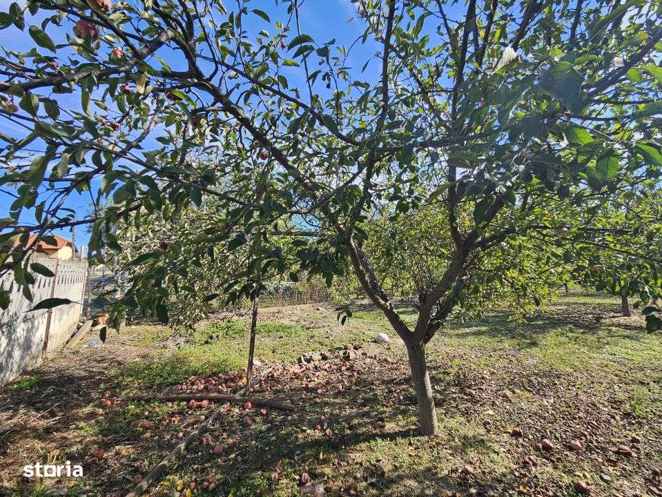 Teren *intravilan 308 mp cu utilitati* - Sat Ceauru, Comuna Balesti - Imagine principală: 4/6