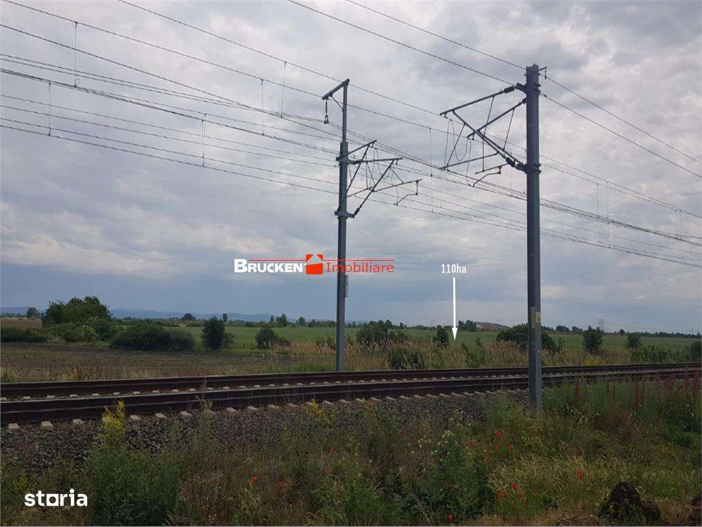 113,21 ha in nordul Aradului, la iesirea de pe drumul expres-8