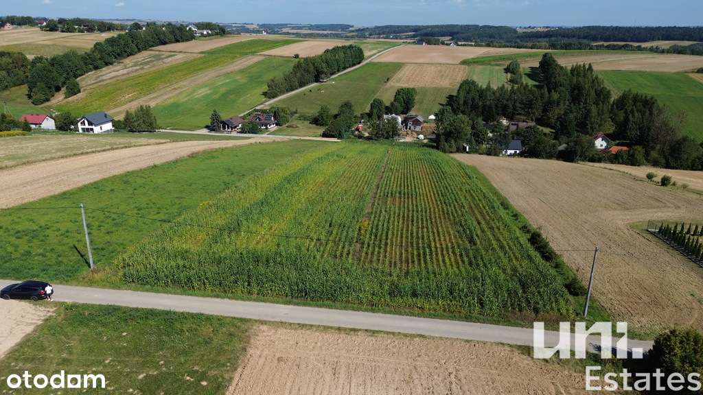 Działka budowlano-usługowa | Ładna okolica - Pełny obrazek: 5/8