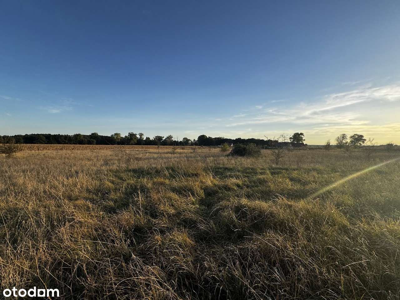 Lednogóra/blisko Stacji PKP/usługowo/budowlana-3