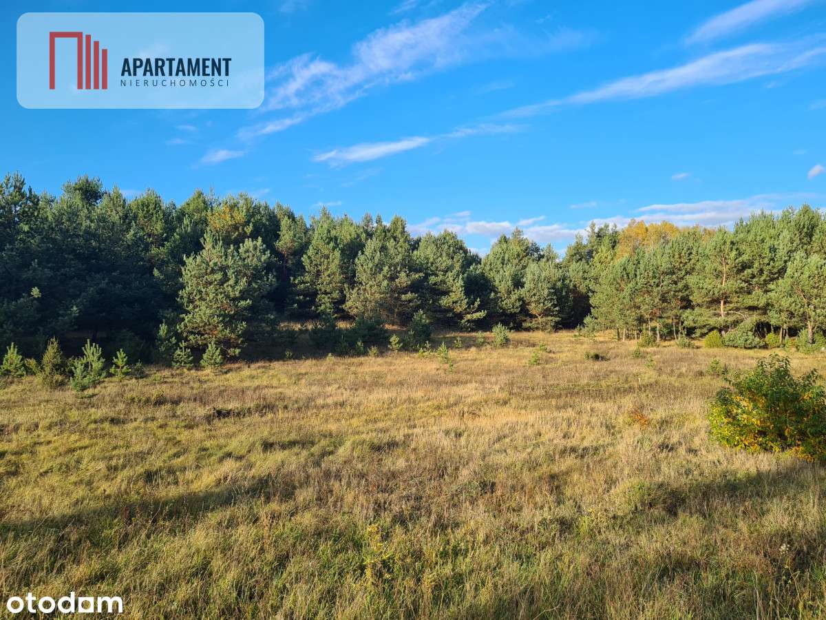 Tylko U Nas! Działki w cichej i spokojnej okolicy! - Pełny obrazek: 4/8