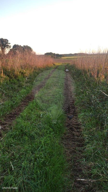 Terreno  para venda