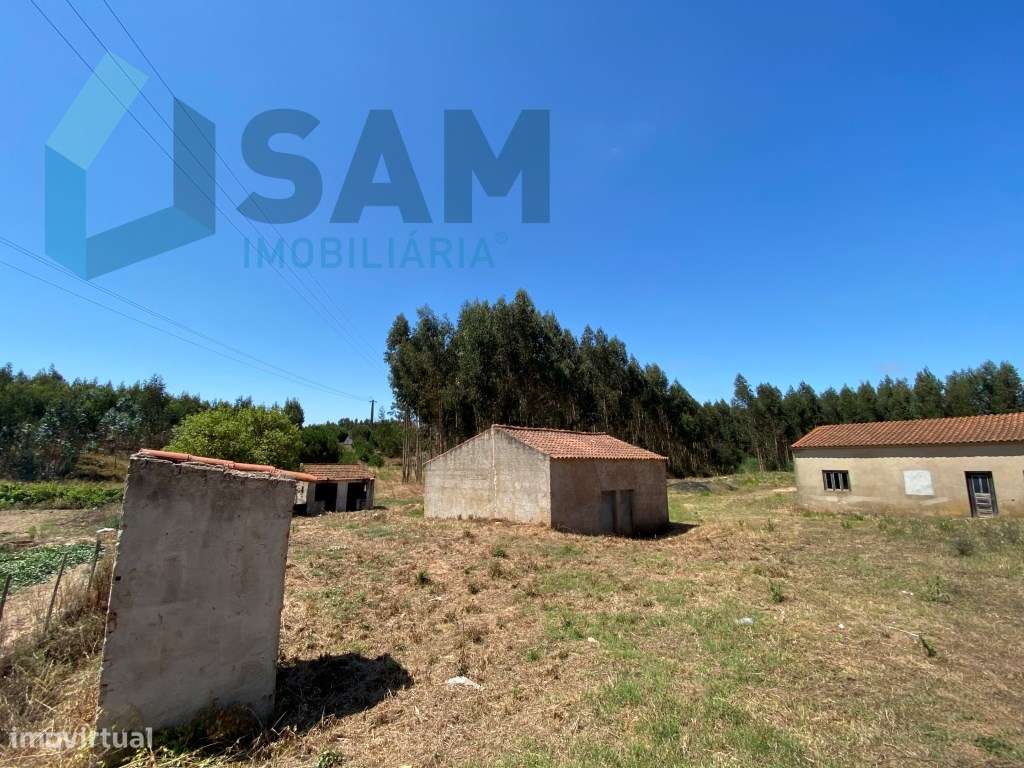 Terreno de 17.800 m2 com Moradia e Armazém - Grande imagem: 3/8