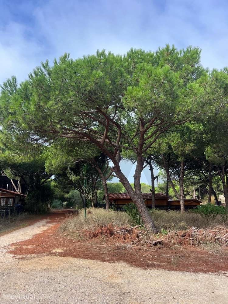 ​​​​​​​​​​​​​​​​​​​​​PARA VENDA: Terreno rústico com 415m2 na Quinta - Grande imagem: 4/13