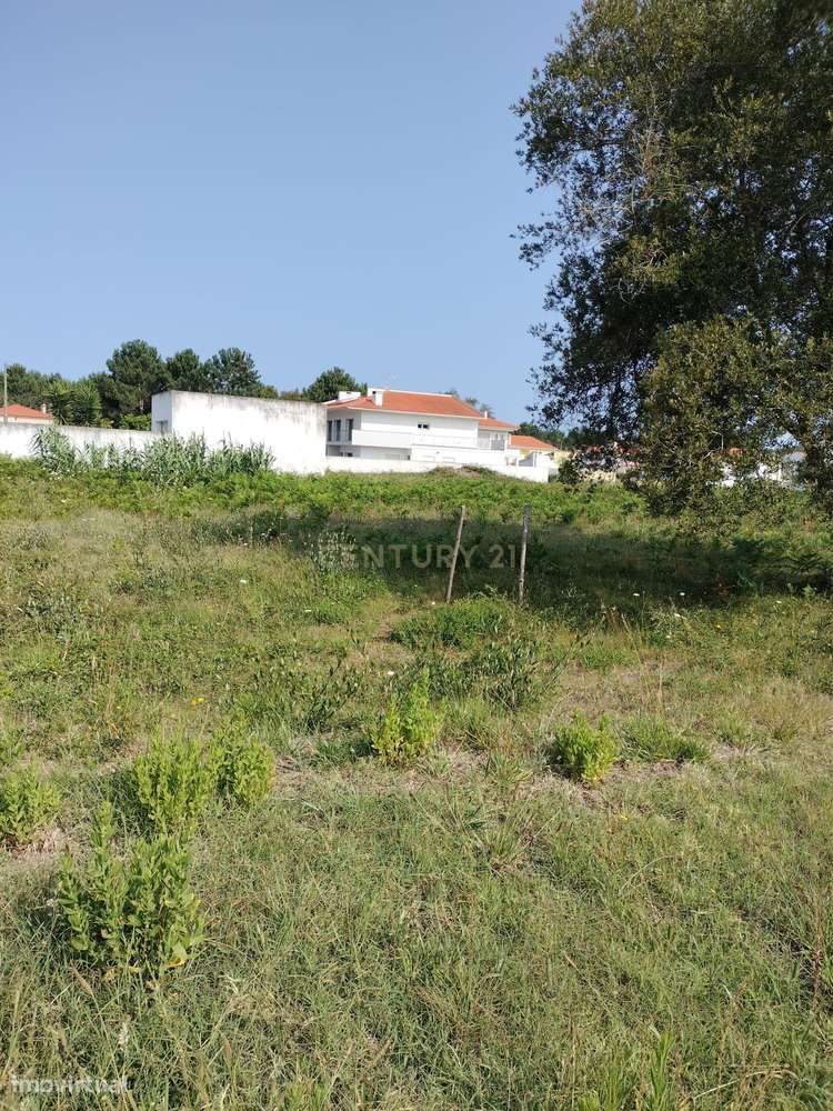 Terreno Urbanizável - Grande imagem: 4/6