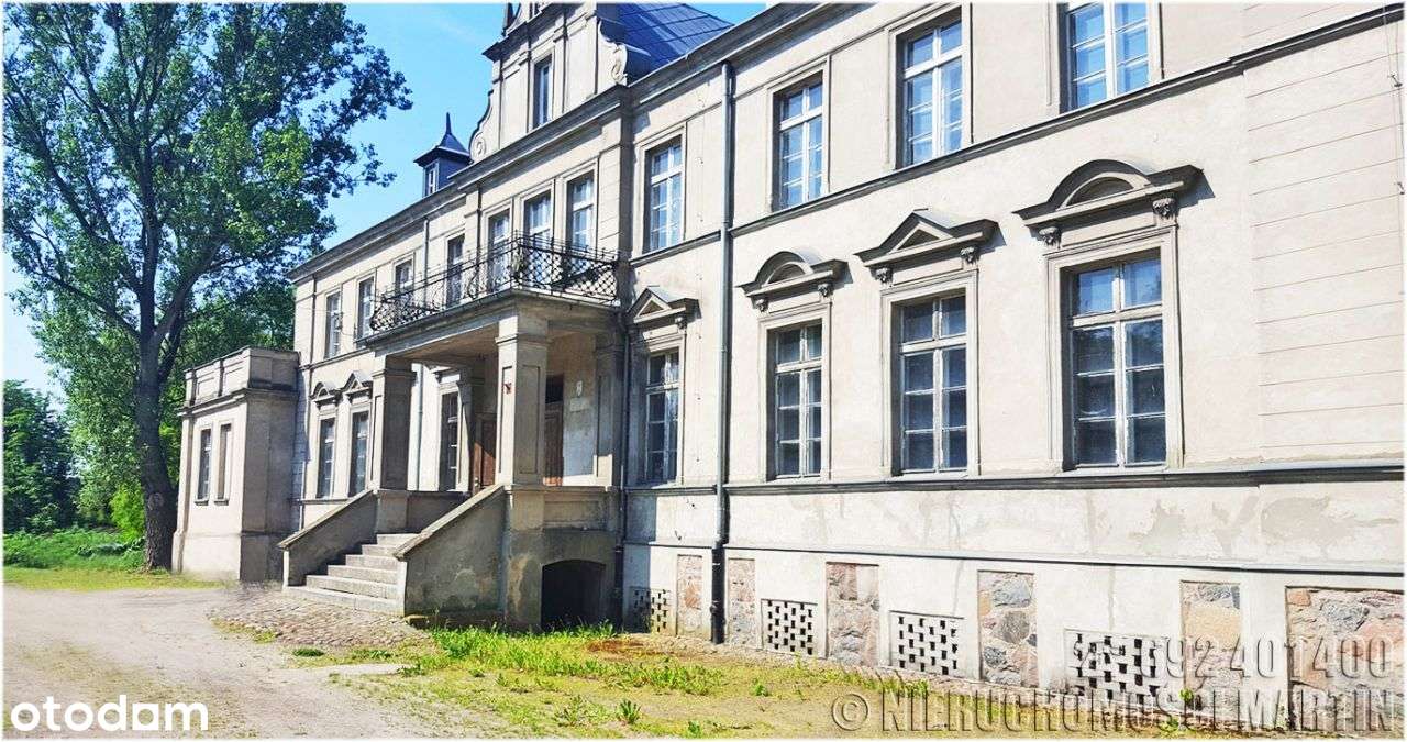 pałac w Niegolewie z parkiem 17 ha w tym rola 6 ha-5