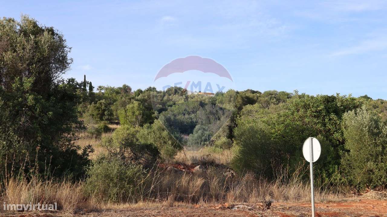 Terreno  para venda - Grande imagem: 5/12