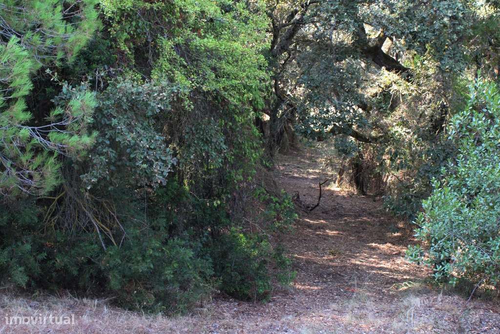 Quinta em Alenquer-20