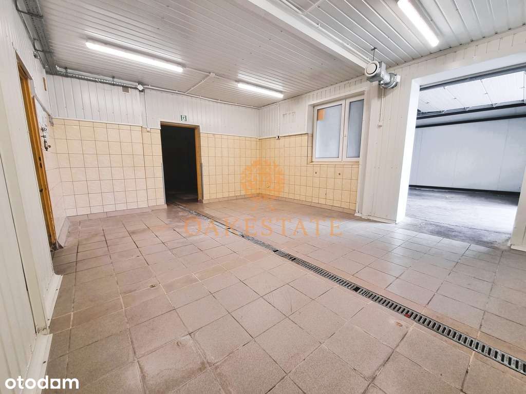 Hala produkcyjno-magazynowa na wynajem - Pełny obrazek: 4/16