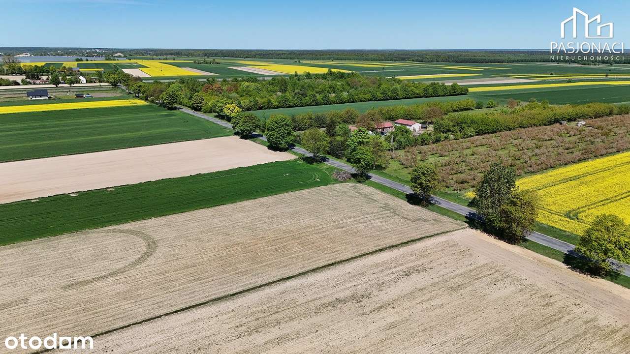 Działka na sprzedaż, Niemce - Pełny obrazek: 4/6