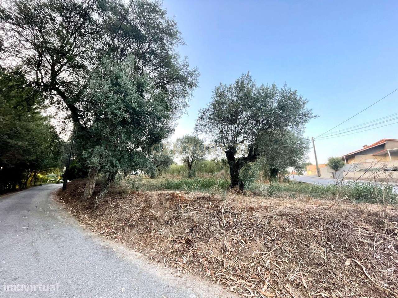 A sua Moradia Térrea de Sonho começa aqui! - Grande imagem: 5/11