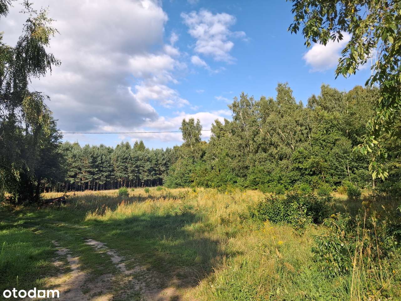 Działka budowlana z możliwością aktywności gospodarczej - Pełny obrazek: 4/6