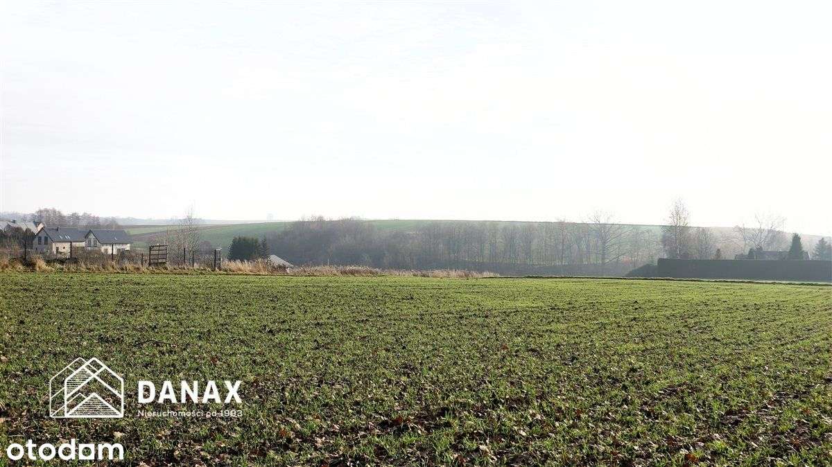 działka budowlana 70arów w Młodziejowicach - Pełny obrazek: 5/8