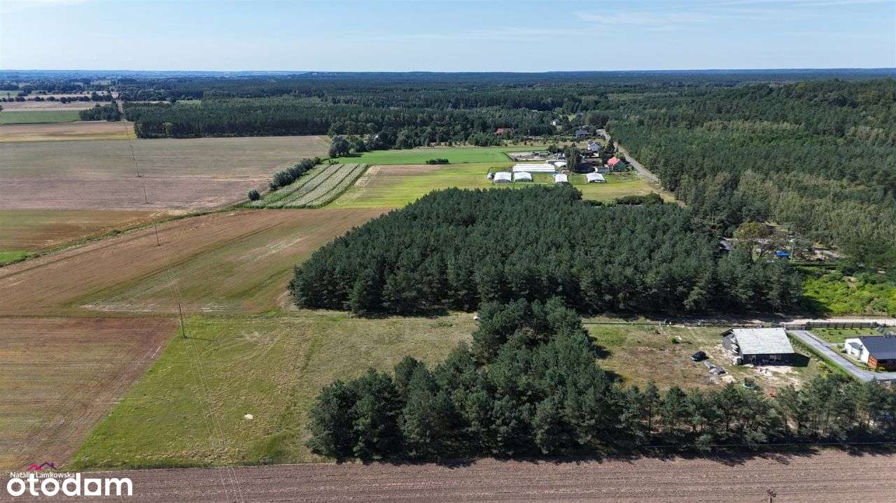 *KRUSZE*DZIAŁKA BUDOWLANA Z WARUNKAMI ZABUDOWY* - Pełny obrazek: 5/6