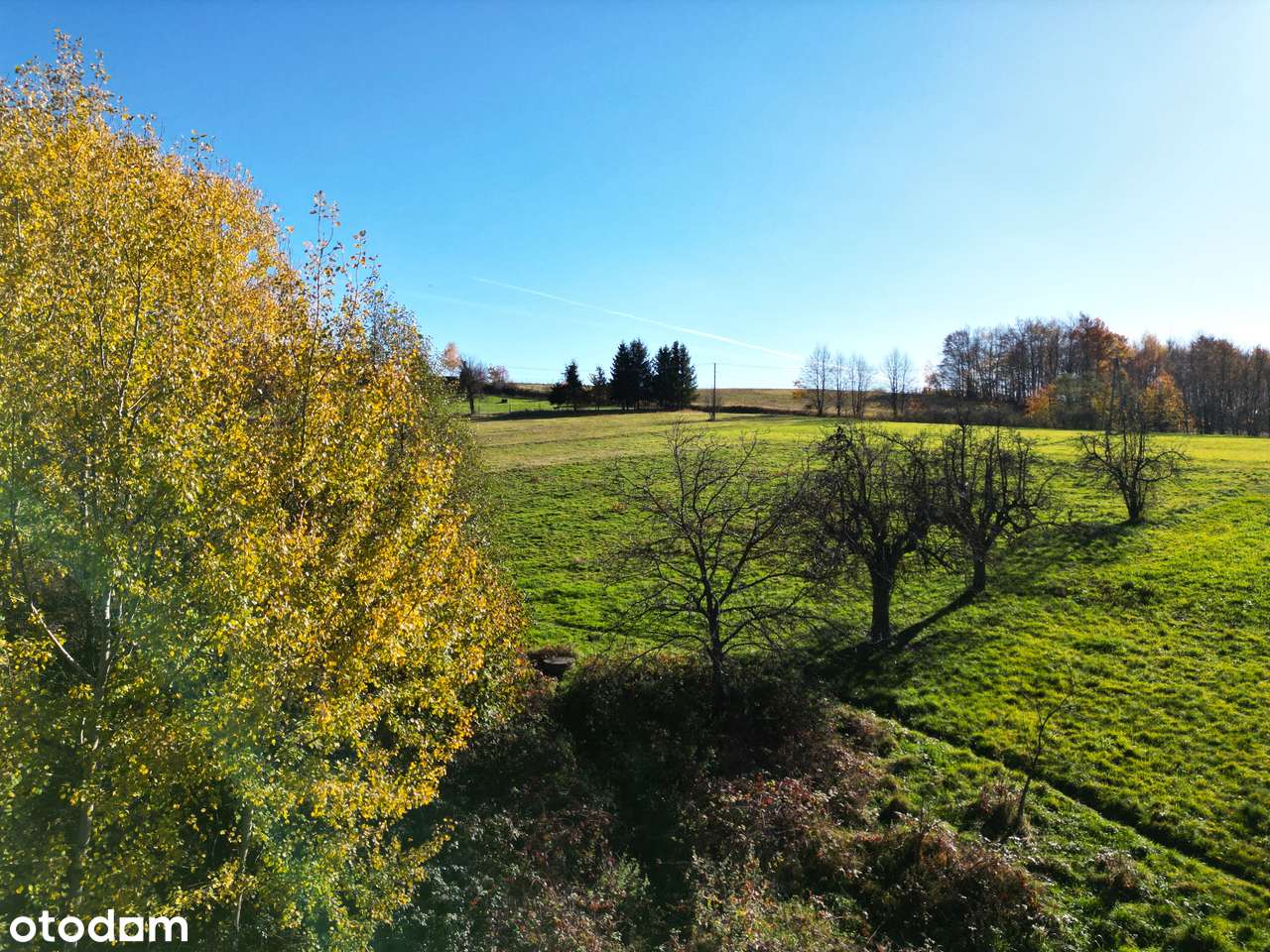 Dom  z potencjałem pod agroturystykę lub prywatny azyl działka 78arów-11