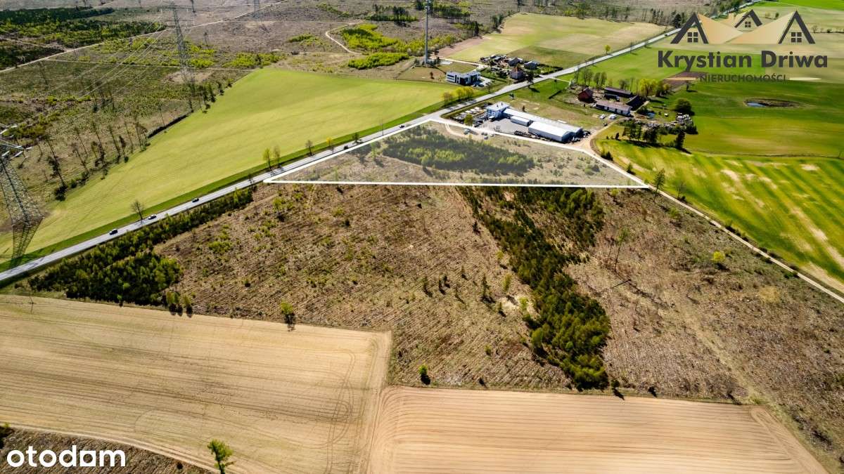 Działka usługowo-produkcyjna - krajowa 20! - Pełny obrazek: 4/18