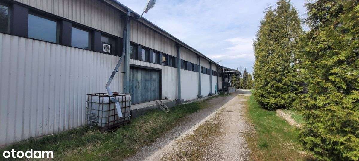 Do wynajęcia  hala z biurami Wieliczka, Sułków - Pełny obrazek: 4/20