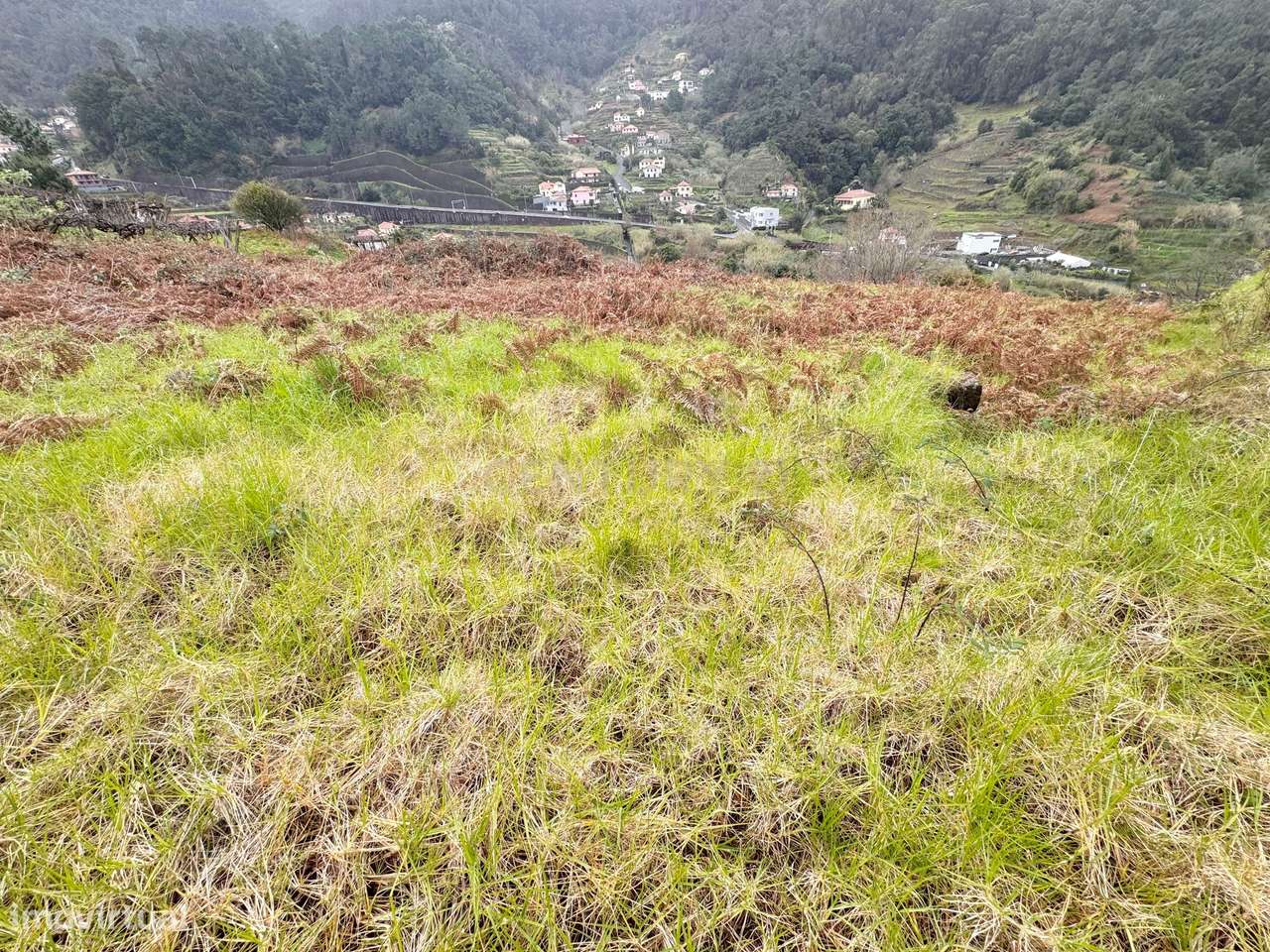 Construa a Sua Casa em São Vicente – Natureza, Tranquilidade e Potenci - Grande imagem: 4/8