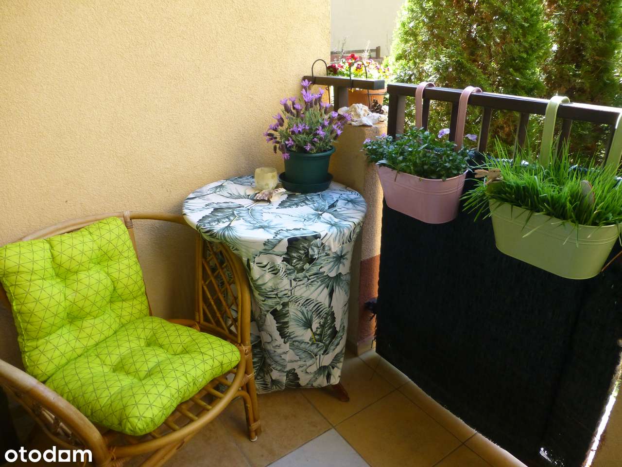 MIESZKANIE ZALESIE - Pełny obrazek: 4/11