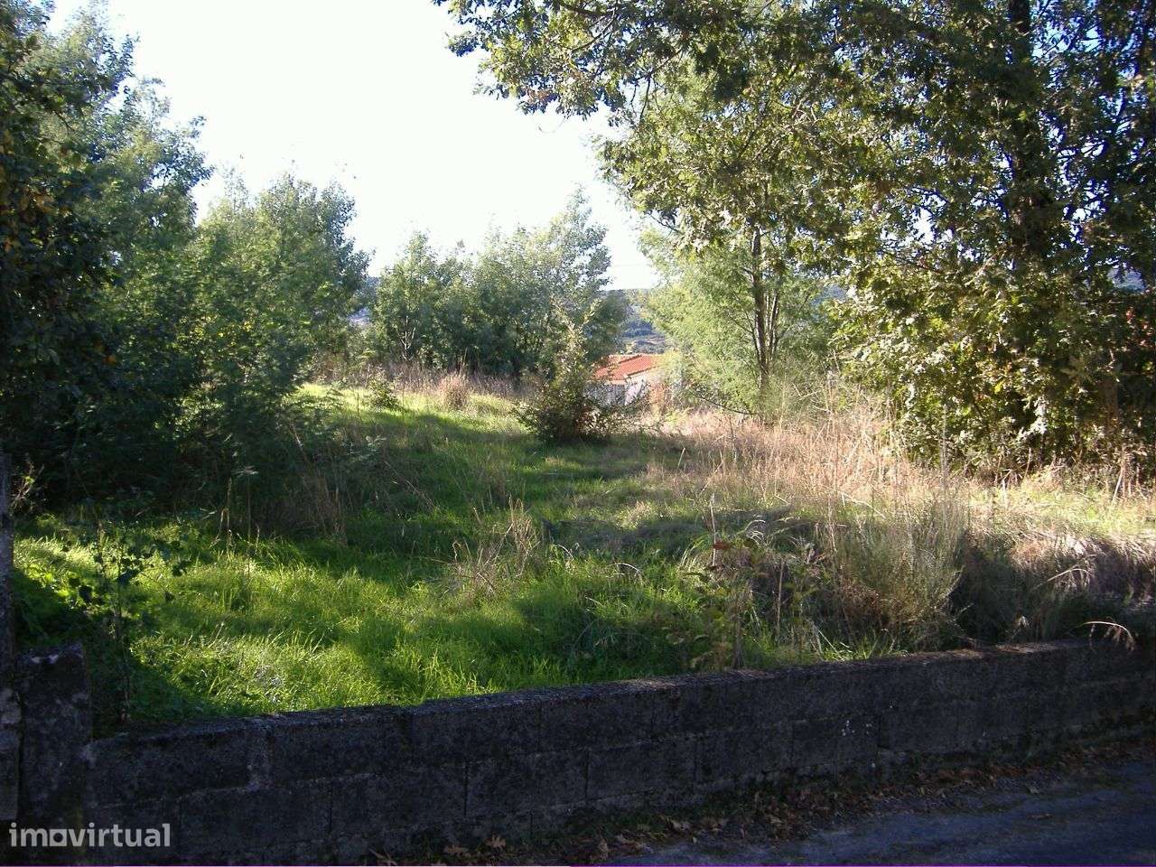 Chaves Vilela Seca - Grande imagem: 4/5