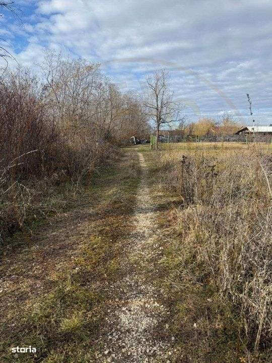 Comision 0 - Teren intravilan Prundu - Bananai - 2939 mp - Imagine principală: 1/3