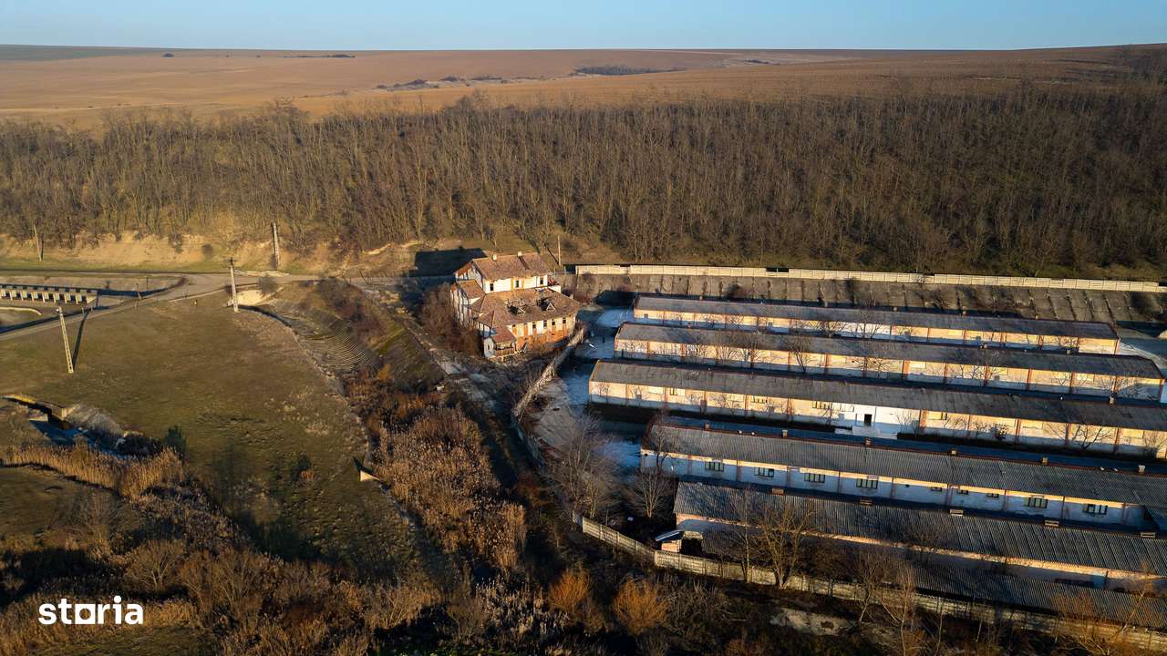 Fosta Ferma a Partidului de la Horgesti - de vanzare-6