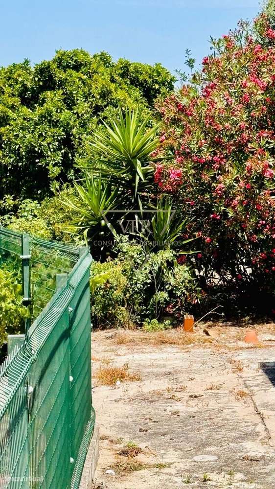 Propriedade exclusiva, com 3124m2 em uma das regiões mais cobiçadas do-7