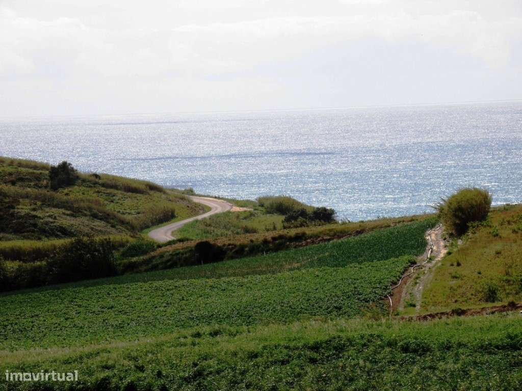 Venda de 2 Terrenos Agrícolas na zona do Paimogo, Lourinhã-11