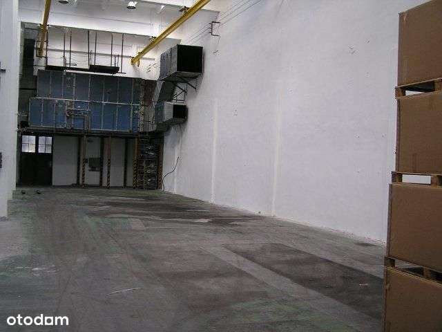 Hala w Świdnicy - Pełny obrazek: 4/8