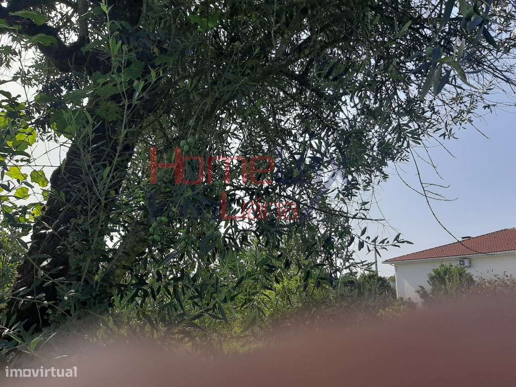 Terreno para construção - Grande imagem: 4/4