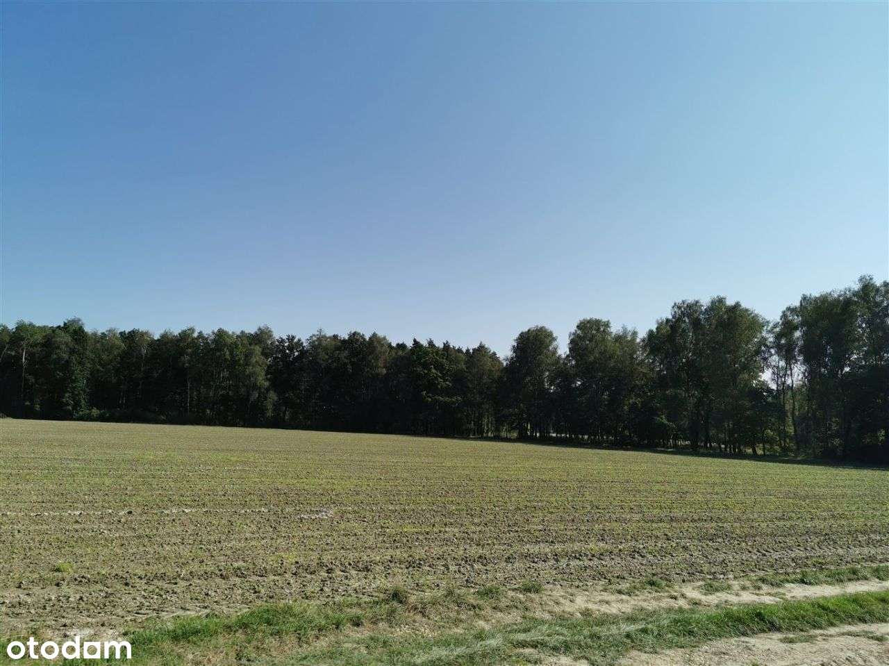 Wyjątkowa działka.-7