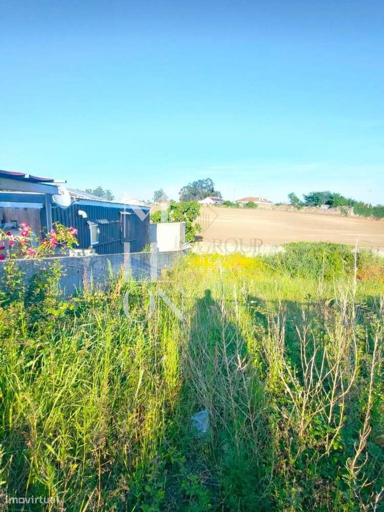 Oportunidade Única para Construir a Casa dos Seus Sonhos! - Grande imagem: 4/14