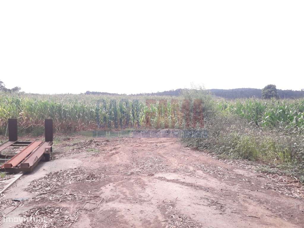 Terreno de construção em Balasar- Póvoa de Varzim - Grande imagem: 4/5