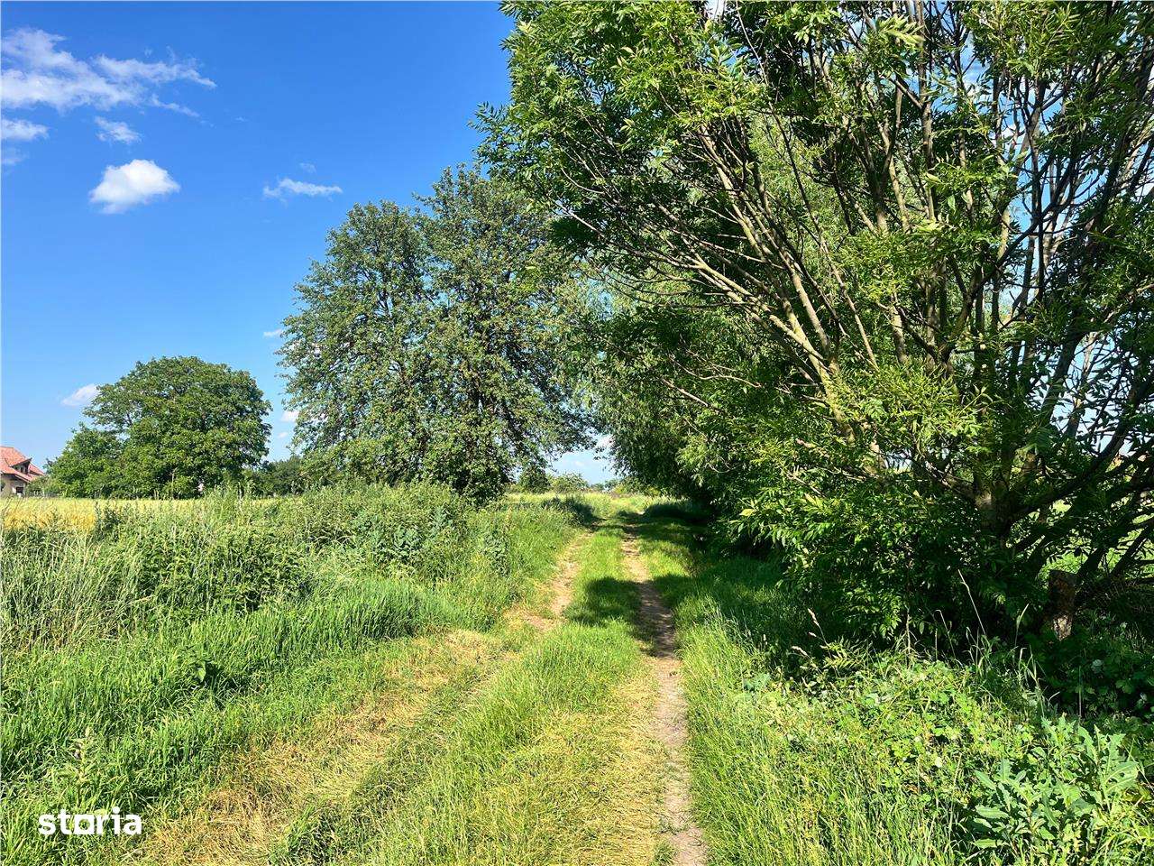 TEREN INTRAVILAN, 1200 mp, HARMAN, COMISION 0% - Imagine principală: 2/5