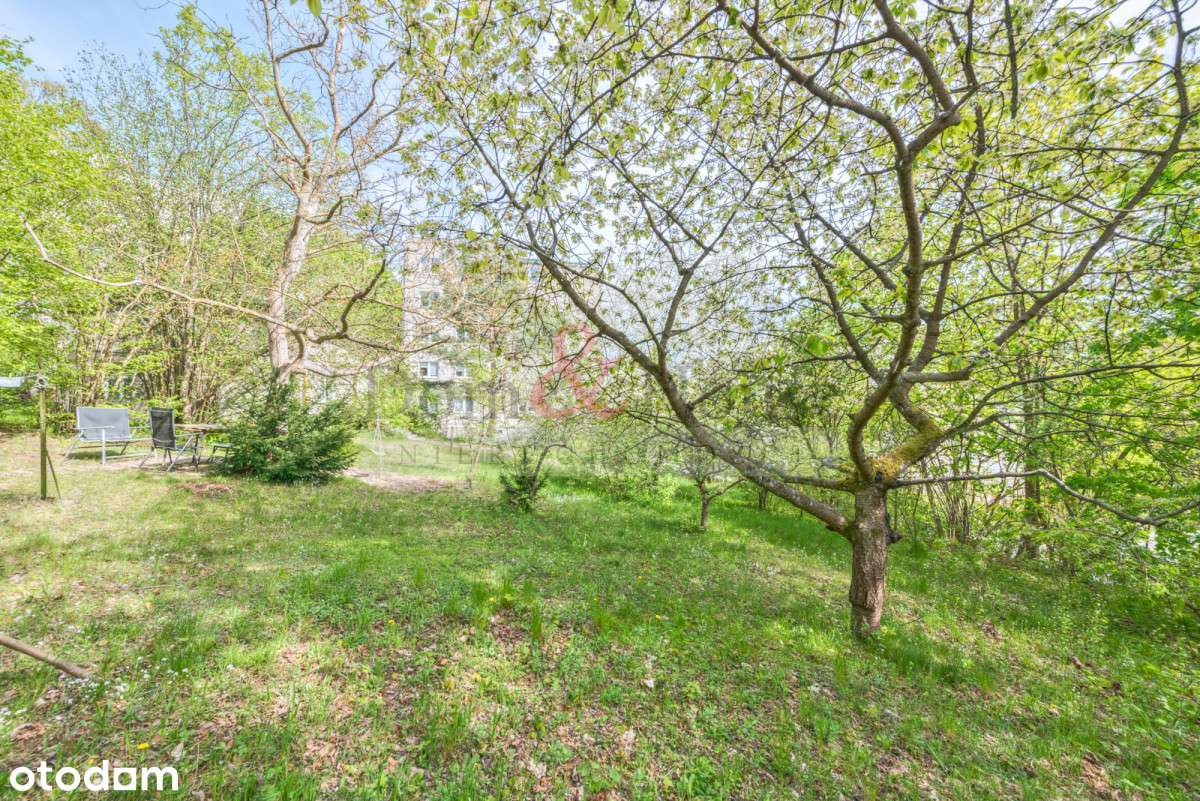 Sopot Piękna działka z domem - Pełny obrazek: 4/16