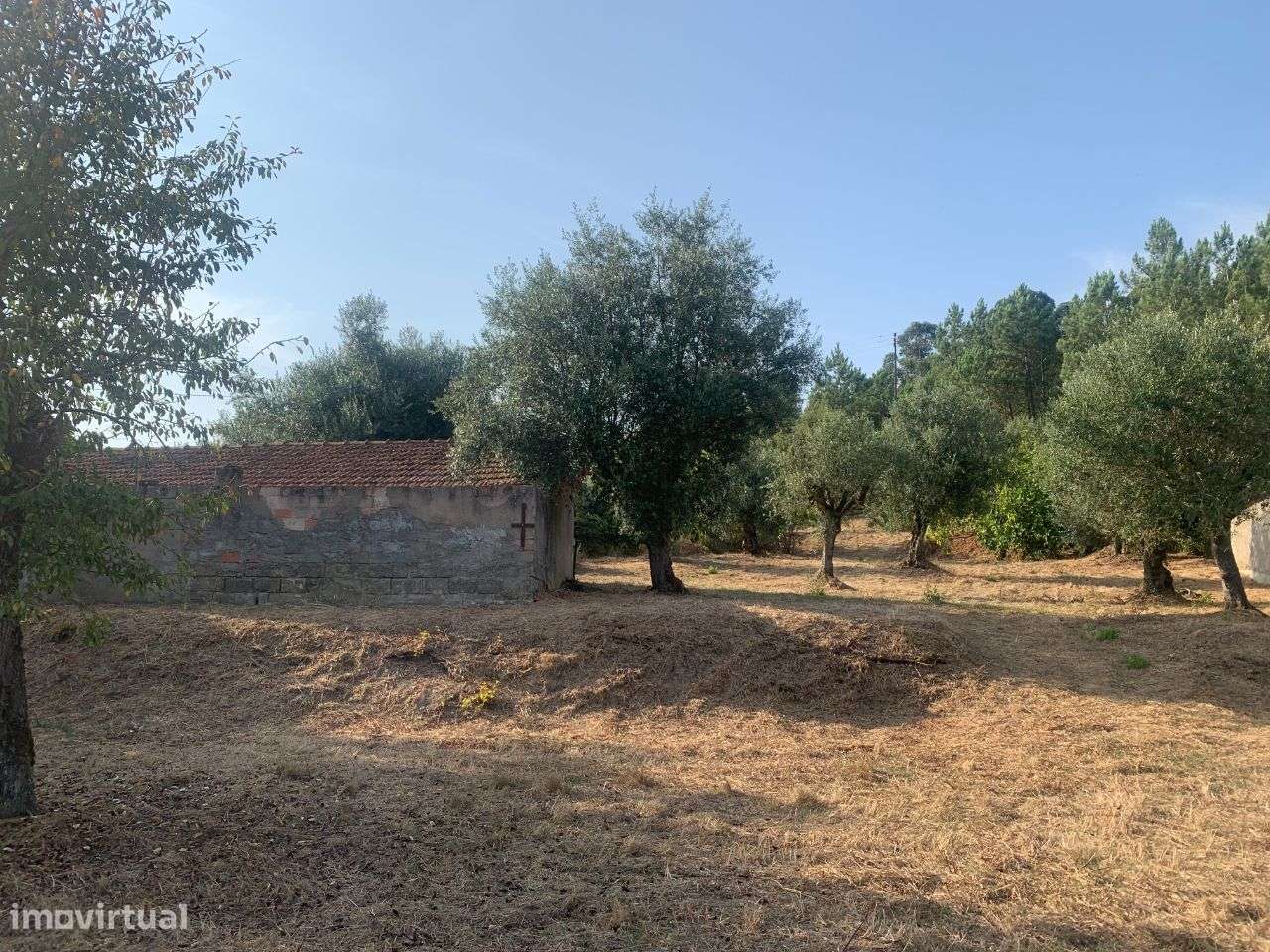 Lote para construção - Grande imagem: 3/3