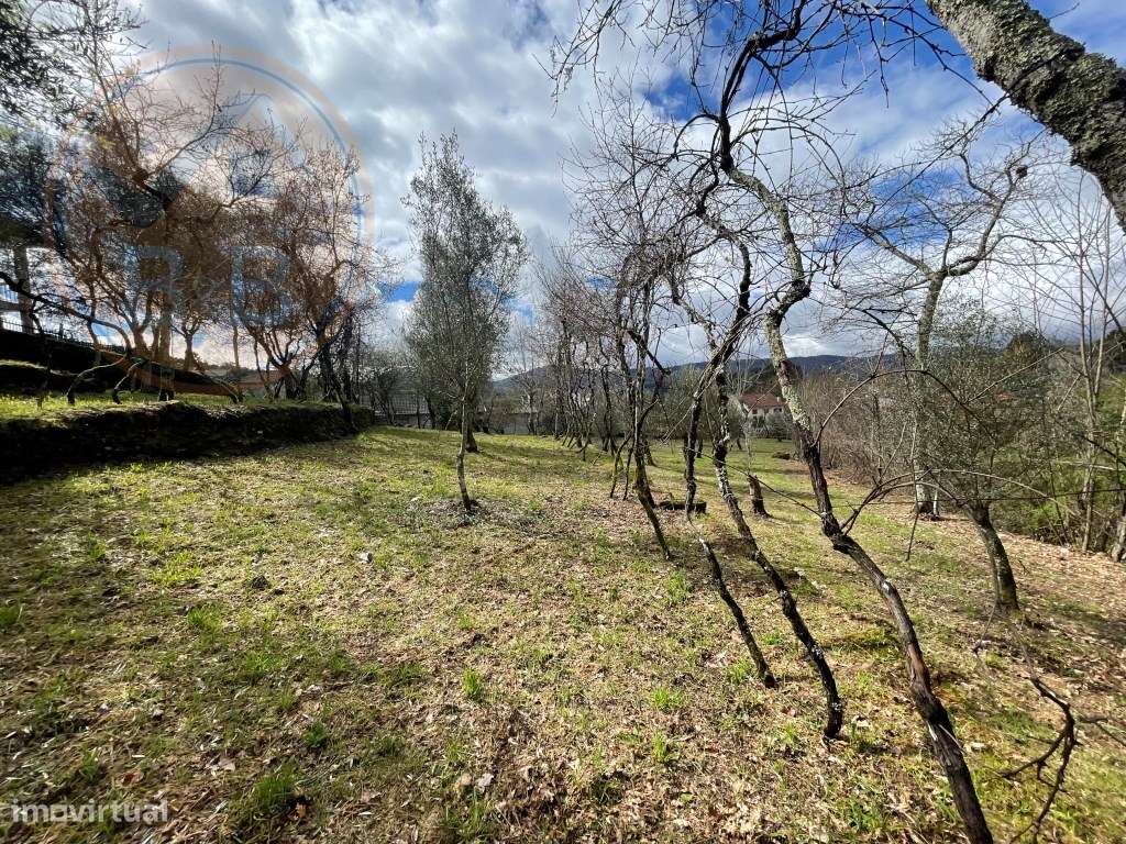 Moradia T4 em Chacim, Cabeceiras de Basto-37