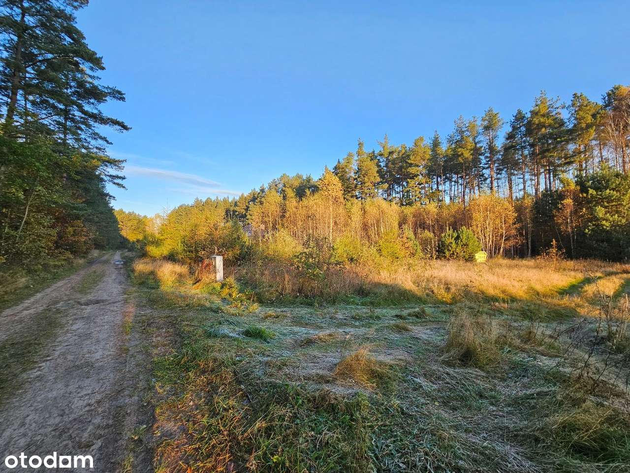Działka Leśniewo 1062 m², przy lesie, cisza i spokój, wydane WZ-2