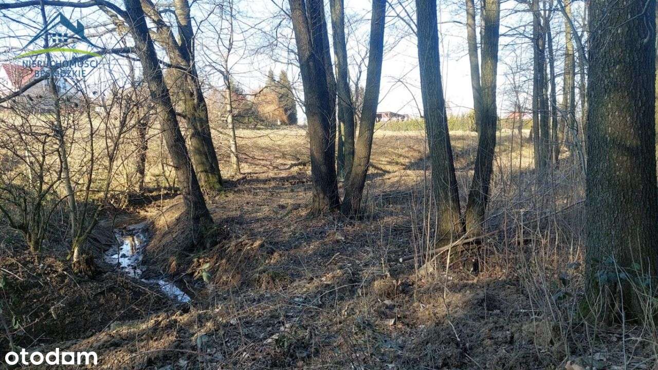 9700m2 w Ustroniu - prywatność, przestrzeń, widoki-7