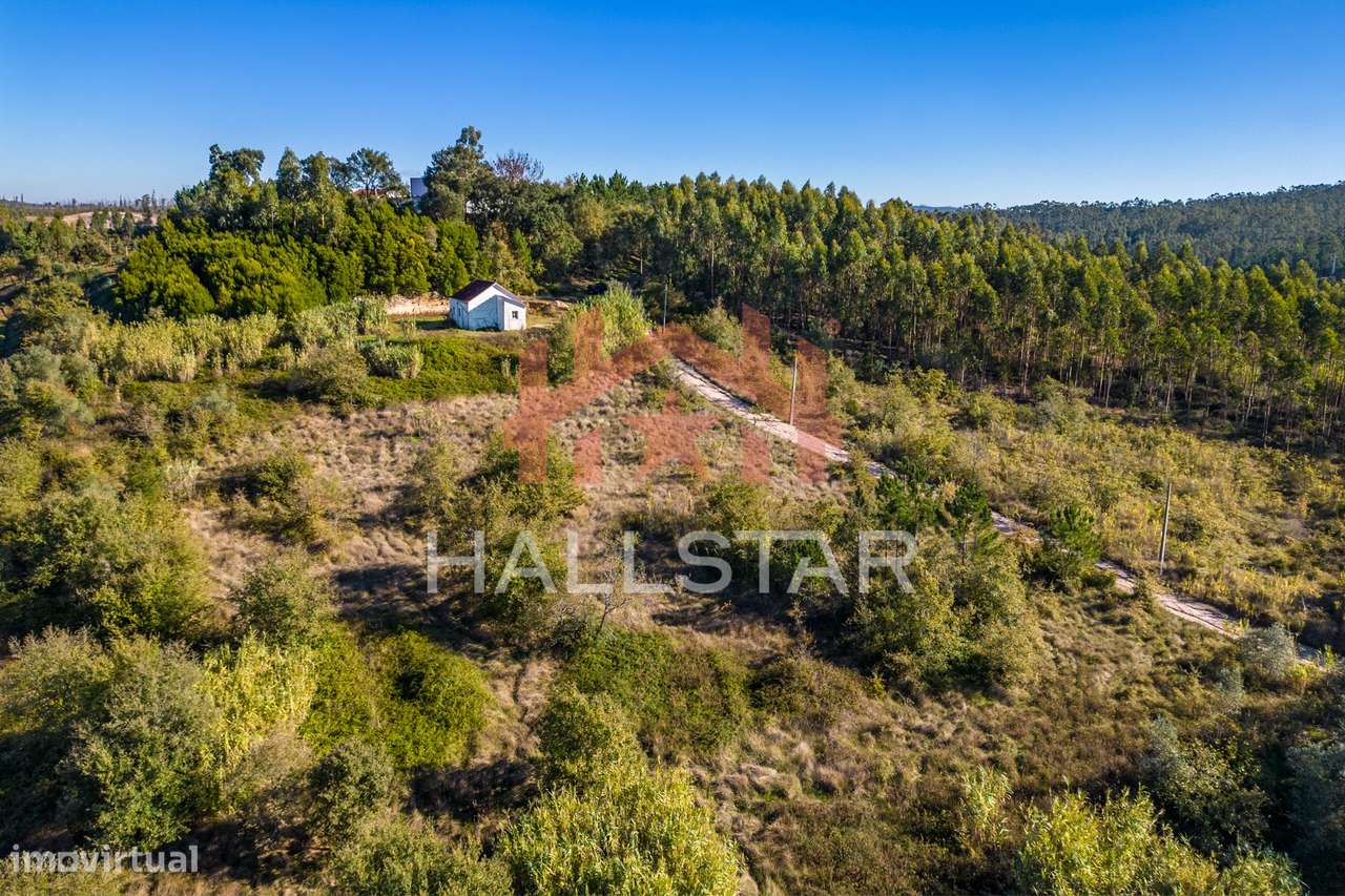 Quinta T3 em Remodelação / Terreno com 9.323m2 / Boa Vista-23